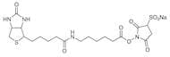 Sulfo-NHS-LC-Biotin (2mg×3)