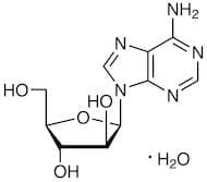 Vidarabine Monohydrate