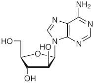 Vidarabine