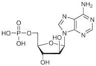 Vidarabine Monophosphate