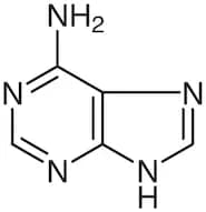Adenine