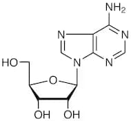 Adenosine