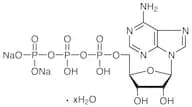 Adenosine 5'-Triphosphate Disodium Salt Hydrate