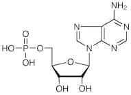 5'-Adenylic Acid