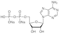 Adenosine 5'-Diphosphate Disodium Salt