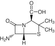 6-Aminopenicillanic Acid