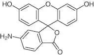 6-Aminofluorescein (isomer II)