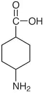 4-Aminocyclohexanecarboxylic Acid (cis- and trans- mixture)