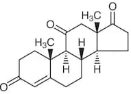 Adrenosterone