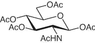 2-Acetamido-1,3,4,6-tetra-O-acetyl-2-deoxy-β-D-glucopyranose
