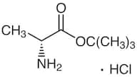 D-Alanine tert-Butyl Ester Hydrochloride