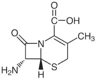 7-Aminodesacetoxycephalosporanic Acid