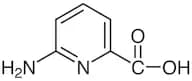 6-Amino-2-pyridinecarboxylic Acid