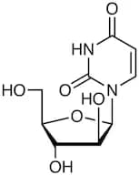 1-β-D-Arabinofuranosyluracil