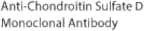 Anti-Chondroitin Sulfate D Monoclonal Antibody (MO-225)