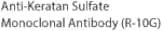 Anti-Keratan Sulfate Monoclonal Antibody (R-10G)