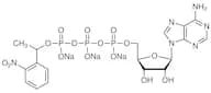 Adenosine 5'-Triphosphate P3-[1-(2-Nitrophenyl)ethyl Ester] Trisodium Salt