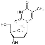 Thymine 1-β-D-Arabinofuranoside