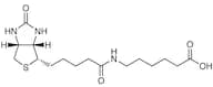 6-Biotinamidohexanoic Acid