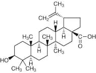Betulinic Acid