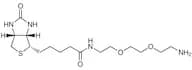 Biotin-PEG2-Amine