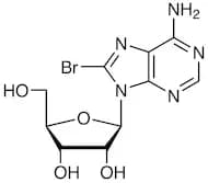 8-Bromoadenosine
