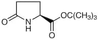 tert-Butyl L-Pyroglutamate