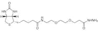Biotin-PEG2-Hydrazide