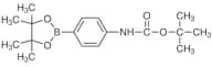 N-(tert-Butoxycarbonyl)-4-(4,4,5,5-tetramethyl-1,3,2-dioxaborolan-2-yl)aniline