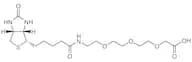 Biotin-PEG3-acetic Acid