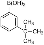 3-tert-Butylphenylboronic Acid (contains varying amounts of Anhydride)