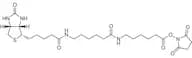 Biotin-LC-LC-NHS (2mg×5)