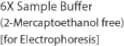 6X Sample Buffer (2-Mercaptoethanol free) [for Electrophoresis]