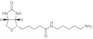 Biotin-C5-Amine (2mg×5)