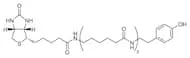 Biotin-XX-Tyramide
