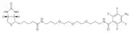 Biotin-PEG3-TFPA