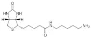 Biotin-C5-Amine