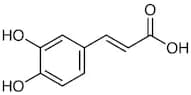 Caffeic Acid