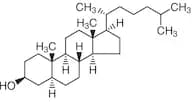 β-Cholestanol (contains α-Cholestanol)