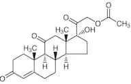 Cortisone Acetate
