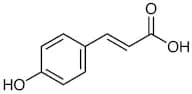 trans-p-Coumaric Acid