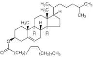 Cholesterol Oleate