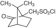 (+)-10-Camphorsulfonyl Chloride