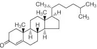 (+)-4-Cholesten-3-one