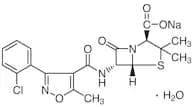 Cloxacillin Sodium Salt Monohydrate