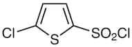 5-Chloro-2-thiophenesulfonyl Chloride