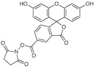 5-Carboxyfluorescein N-Succinimidyl Ester