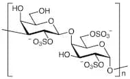 λ-Carrageenan (Low-viscosity)
