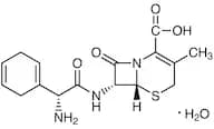 Cephradine Monohydrate