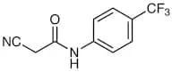 2-Cyano-N-[4-(trifluoromethyl)phenyl]acetamide
